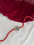 bhai Rakhi 03